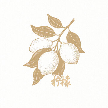 檸檬免扣素材