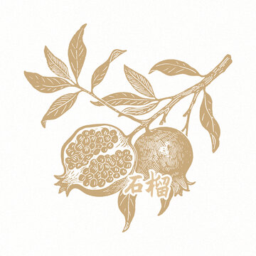 石榴