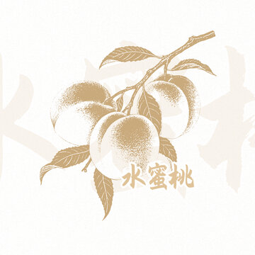 水蜜桃包裝插畫(huà)