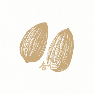 杏仁透明背景素材