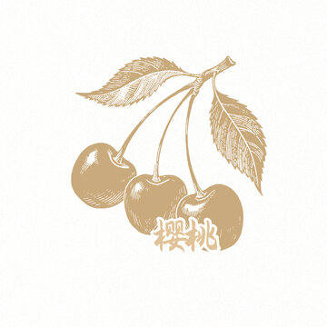 櫻桃