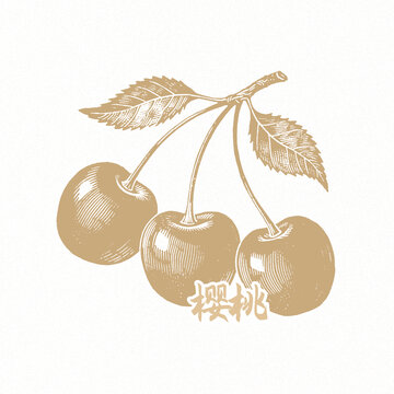 櫻桃包裝插畫(huà)