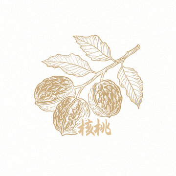 核桃