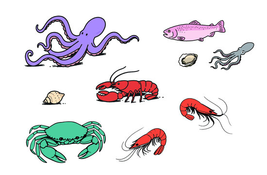 手繪簡筆海洋生物卡通插畫