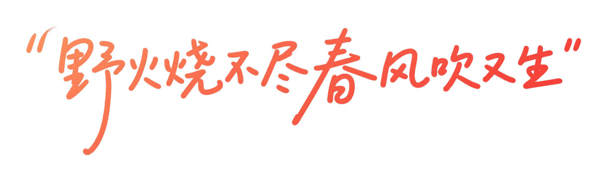 野火燒不盡春風(fēng)吹又生