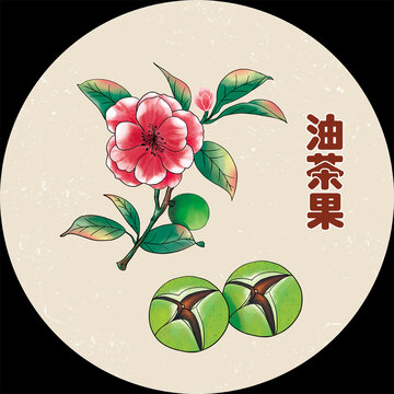 手繪山茶花插畫