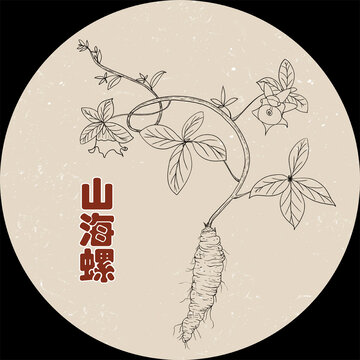 山海螺植物線描圖案