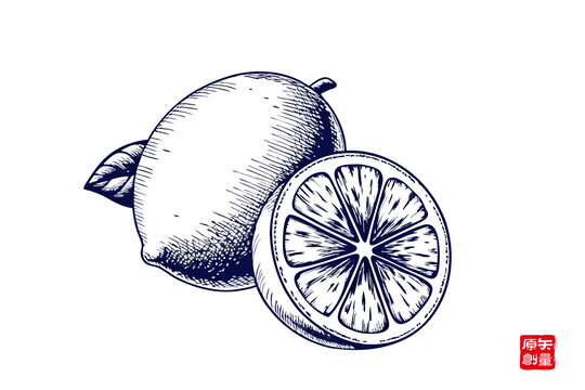 手繪檸檬插畫素材