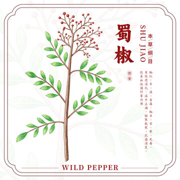 蜀椒