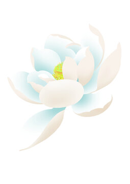 清新淡雅手繪白色蓮花