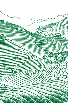 茶鄉(xiāng)茶山田園梯田手繪線稿古村落美景矢量