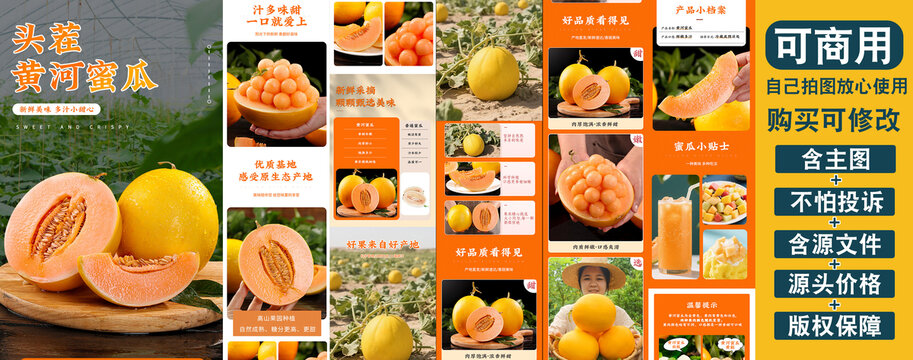 黃河蜜瓜詳情頁