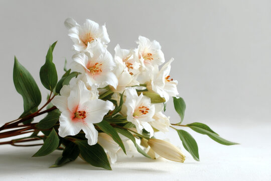 白色百合花束的優(yōu)雅擺放