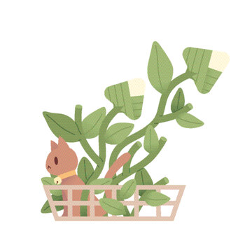 小貓與粽子