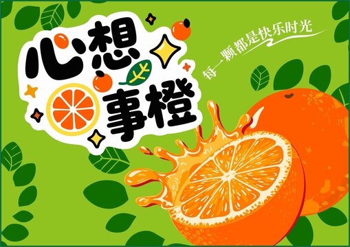 橙子包裝