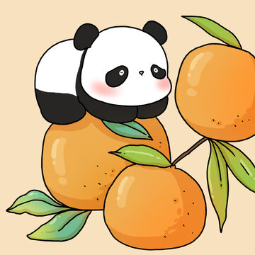 趴在橙子上的大熊貓