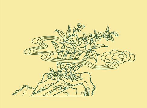 手繪鐵皮石斛插畫
