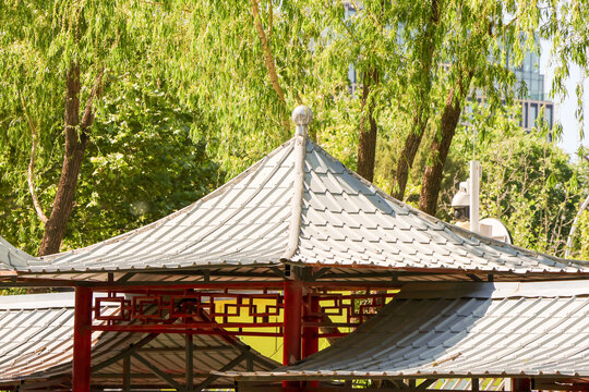 北京動(dòng)物園