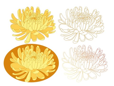 多形態(tài)黃色菊花圖案素材矢量圖分層
