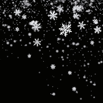 冬日雪花飄落圖
