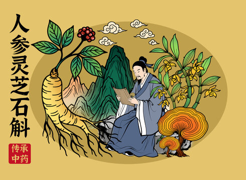 人參靈芝石斛中醫(yī)插畫