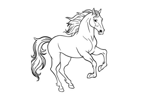 馬線稿矢量圖