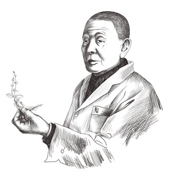 手持植物的科研人員素描