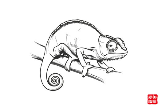 手繪枝頭變色龍黑白插畫