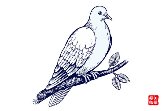 枝頭棲息的簡(jiǎn)約白鴿插畫(huà)