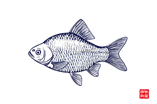 手繪線條風(fēng)的鯽魚圖案