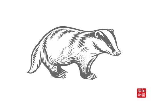 簡約線條獾動物圖案設(shè)計