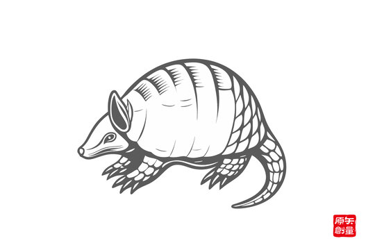 犰狳黑白線條插畫圖案