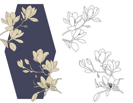 簡約玉蘭花矢量插畫素材