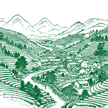 水墨風(fēng)鄉(xiāng)村茶山梯田風(fēng)光手繪線稿矢量圖
