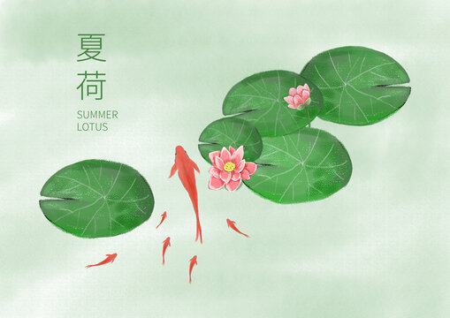 荷葉