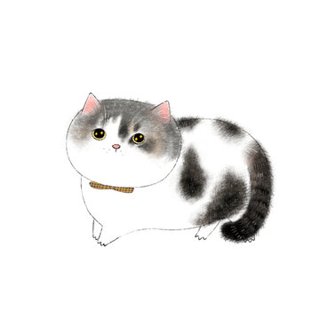 可愛的小貓