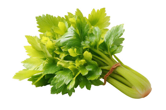 [免摳素材]新鮮芹菜束特寫