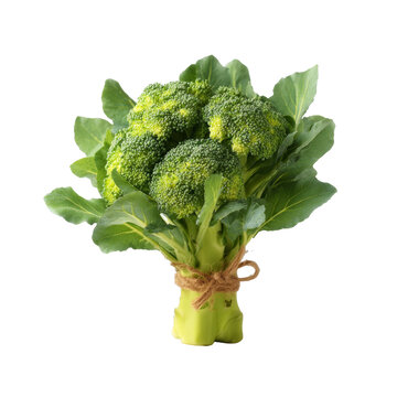 [免摳素材]新鮮西蘭花束特寫(xiě)