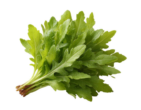 [免摳素材]新鮮翠綠葉菜束