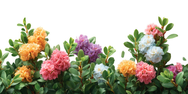 [免摳素材]五彩繽紛的花朵邊框