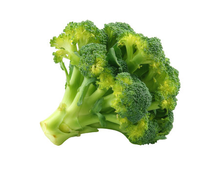 [免摳素材]新鮮西蘭花特寫(xiě)