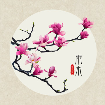 24節(jié)氣之雨水玉蘭花