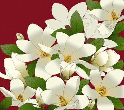 玉蘭花次韻