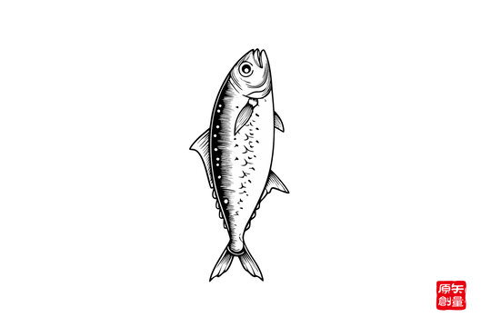 黑白手繪單條海魚圖案