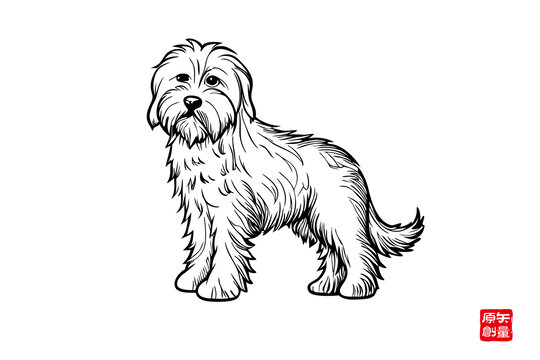 可愛長(zhǎng)毛犬的黑白線稿圖