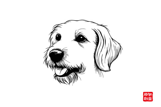 手繪可愛金毛犬頭像