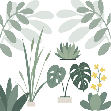 清新綠植插畫素材