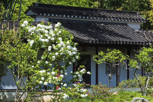 江南古典園林