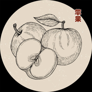 手繪蘋(píng)果線稿