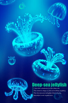 夢幻深海中的水母精靈